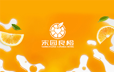 某良橙——商洛LOGO设计